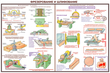 ПС09 Безопасность труда при деревообработке (бумага, А2, 5 листов) - Плакаты - Безопасность труда - ohrana.inoy.org